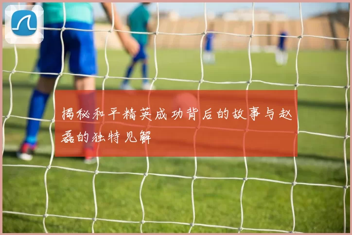 揭秘和平精英成功背后的故事与赵磊的独特见解