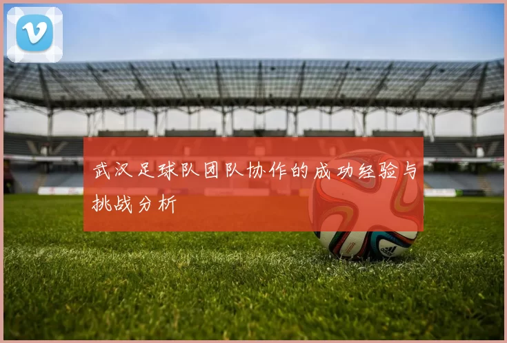 武汉足球队团队协作的成功经验与挑战分析
