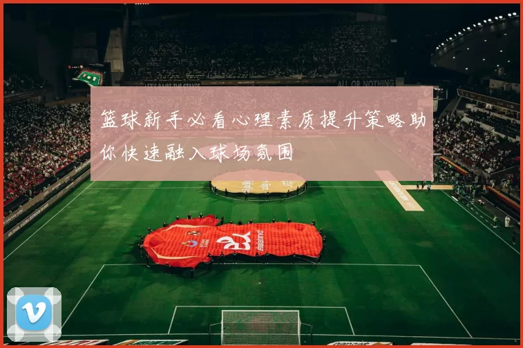 篮球新手必看心理素质提升策略助你快速融入球场氛围
