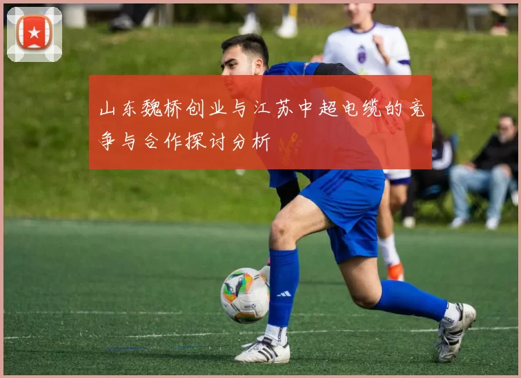 山东魏桥创业与江苏中超电缆的竞争与合作探讨分析
