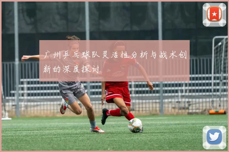 广州乒乓球队灵活性分析与战术创新的深度探讨