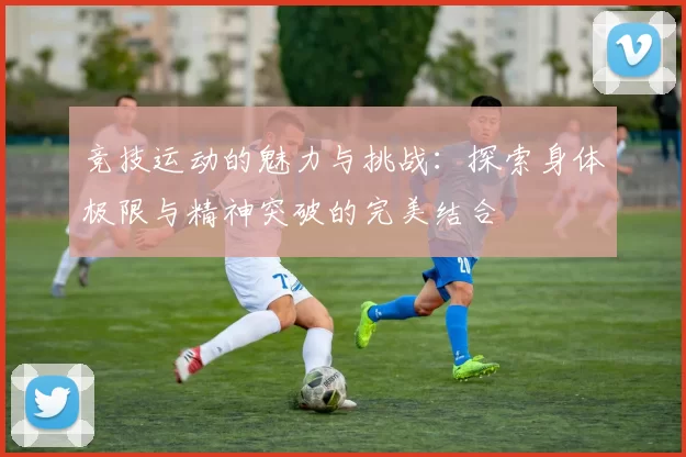 竞技运动的魅力与挑战：探索身体极限与精神突破的完美结合