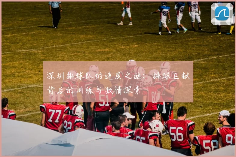 深圳排球队的速度之谜：排球巨献背后的训练与激情探索