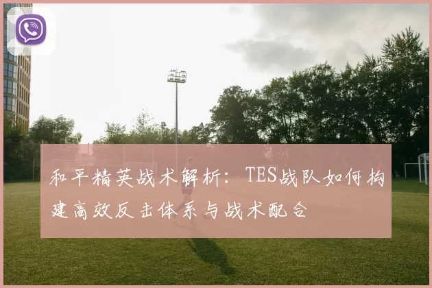 和平精英战术解析：TES战队如何构建高效反击体系与战术配合
