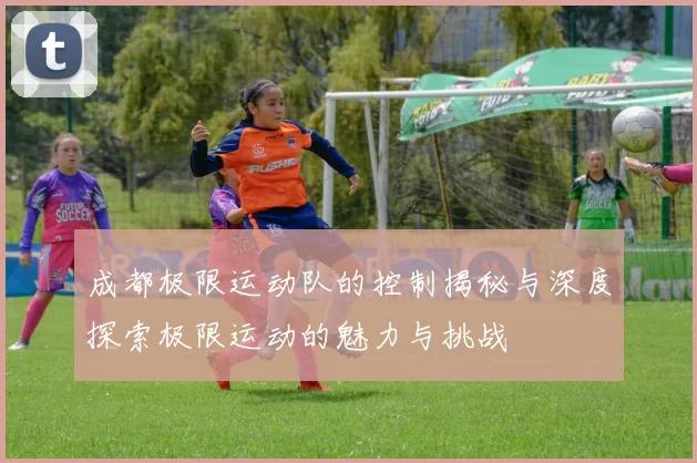 成都极限运动队的控制揭秘与深度探索极限运动的魅力与挑战