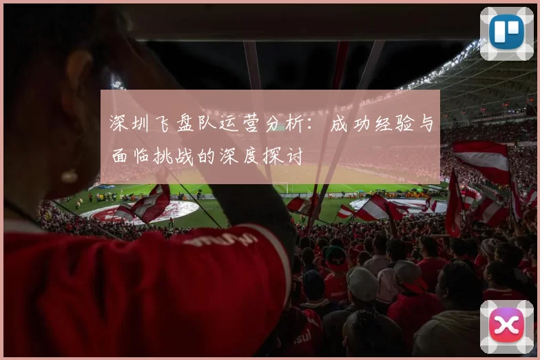 深圳飞盘队运营分析：成功经验与面临挑战的深度探讨