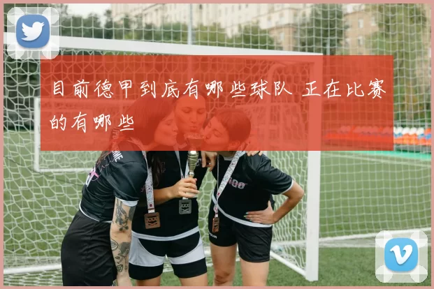目前德甲到底有哪些球队 正在比赛的有哪些