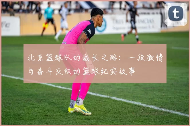 北京篮球队的成长之路：一段激情与奋斗交织的篮球纪实故事