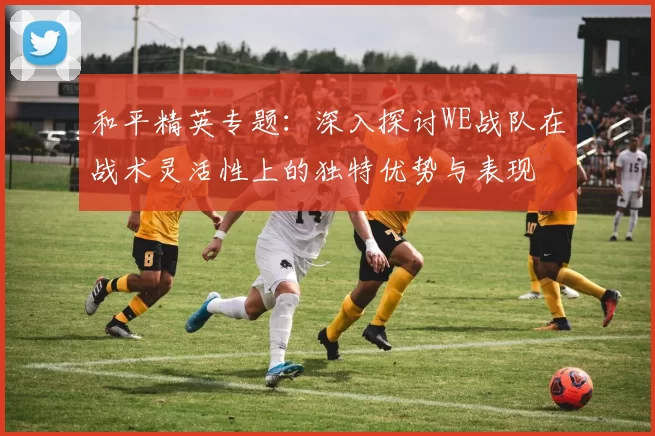 和平精英专题：深入探讨WE战队在战术灵活性上的独特优势与表现