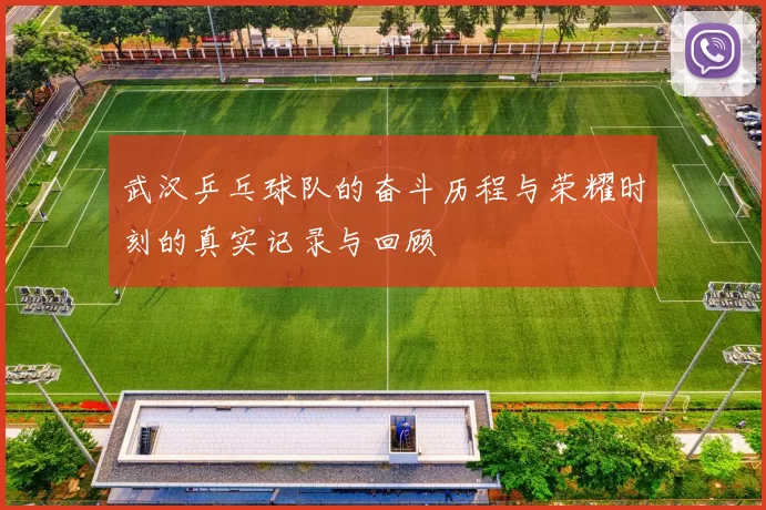 武汉乒乓球队的奋斗历程与荣耀时刻的真实记录与回顾