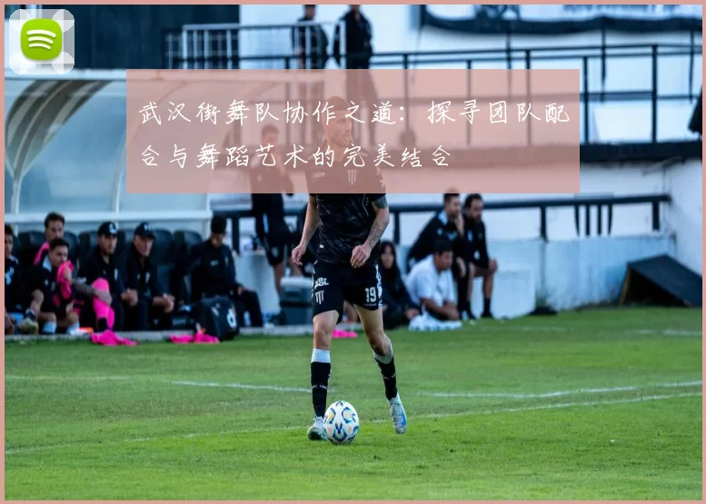 武汉街舞队协作之道：探寻团队配合与舞蹈艺术的完美结合