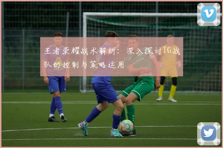 王者荣耀战术解析：深入探讨IG战队的控制与策略运用