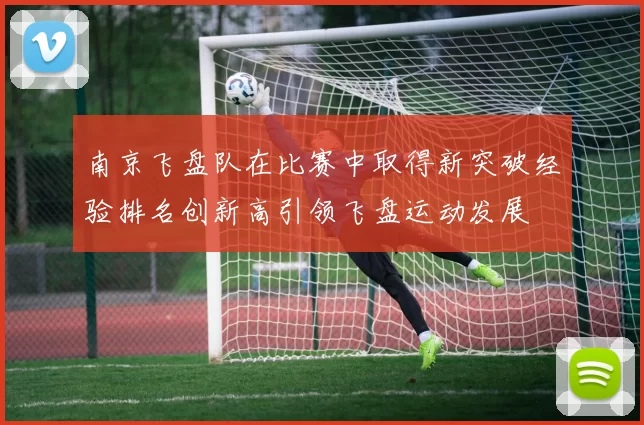 南京飞盘队在比赛中取得新突破经验排名创新高引领飞盘运动发展