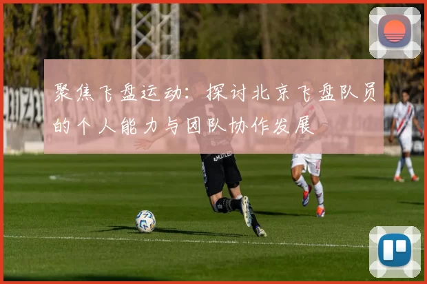 聚焦飞盘运动：探讨北京飞盘队员的个人能力与团队协作发展