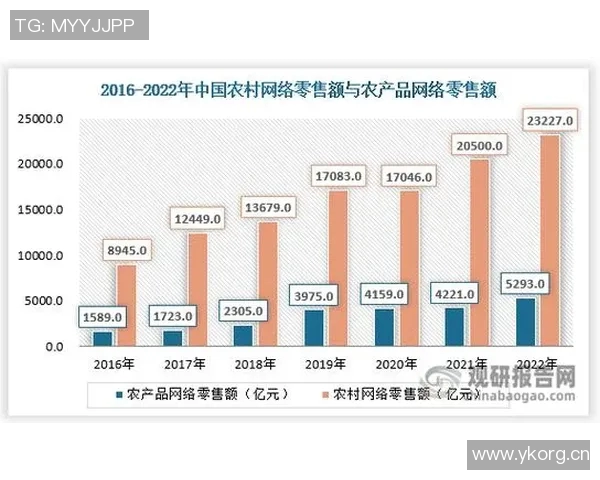 职业联赛发展趋势分析：创新模式与市场潜力的深度探讨